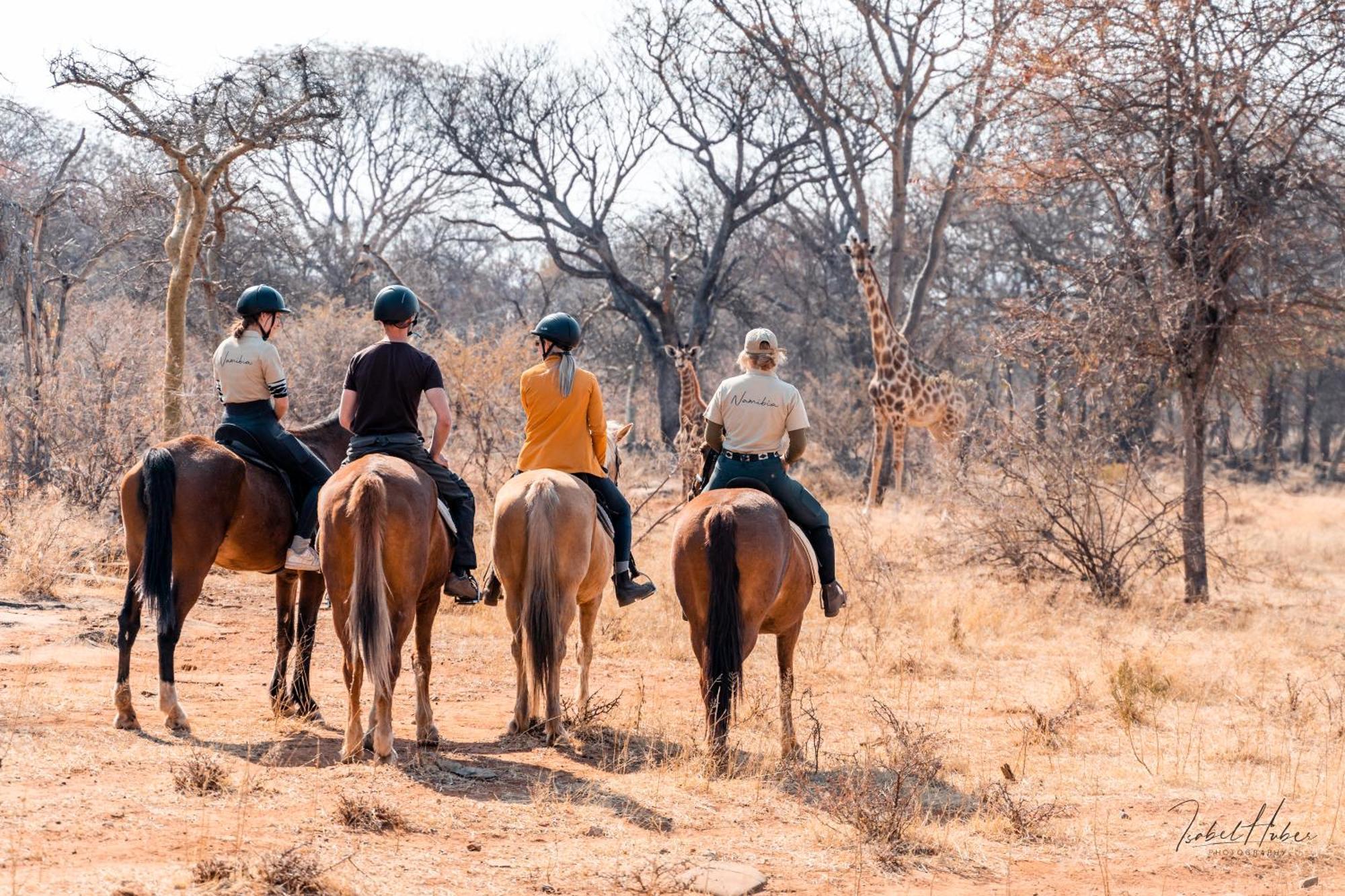 Gabus Safari Lodge Otavi Exterior foto